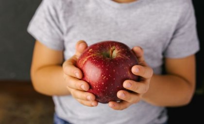 A close up image of a child's hands holing a large red apple.